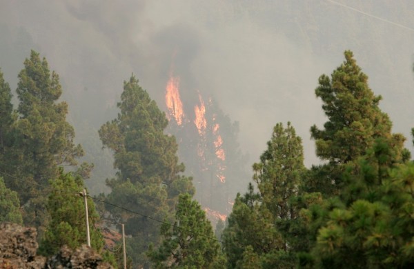 Las llamas han quemado más de 1.500 hectáreas de vegetación.