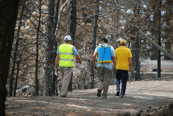 Un grupo de voluntarios recorren las zonas quemadas para ir apagando los rescoldos encendidos del incendio forestal declarado en la madrugada del pasado sábado y que aún hoy sigue sin estar controlado, en el pinar de Fuencaliente