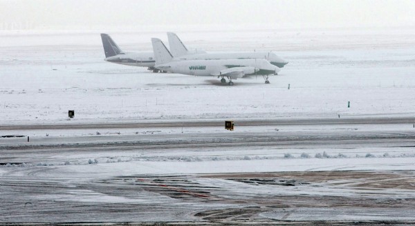 Varios aviones, cubiertos completamente de nieve mientras permanecen estacionados frente a la T-2 del aeropuerto de Barajas.