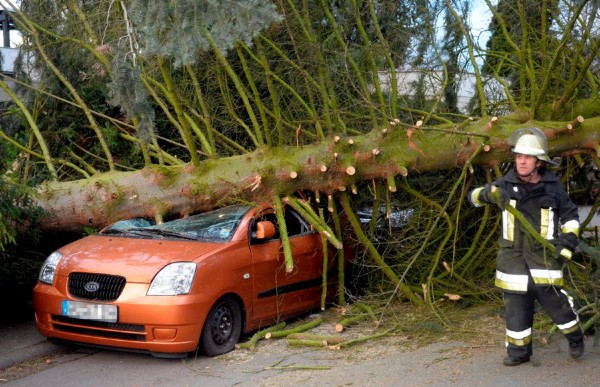 Los bomberos intenta cortar el árbol caído encima de un coche, en la localidad alemana de Darmstadt.