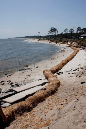 Fotografía facilitada por Greenpeace que muestra barreras de paja colocadas en la playa de Dauphin Island, Alabama (EEUU).