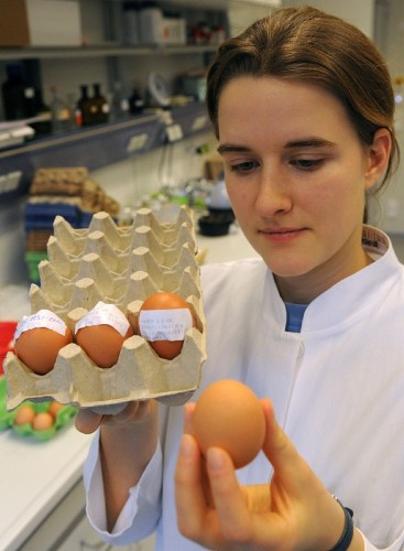 La investigadora Ulrike Behringer comprueba un huevo contaminado con dioxina.