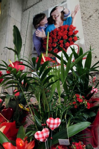 El sector de la flor cortada y de la planta ornamental afronta este año San Valentín, una de sus principales campañas del año, con la previsión de que las ventas se mantengan.