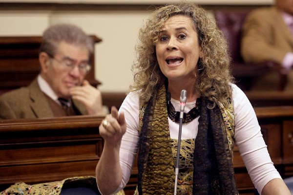 La vicepresidente del Gobierno de Canarias, María del Mar Julios, durante una de sus intervenciones ante el pleno del Parlamento regional.