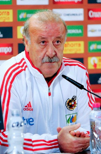 El entrenador de la selección española de fútbol Vicente del Bosque.