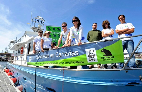 Los investigadores que participan en el Proyecto de Conservación del Cachalote en Canarias, de la Sociedad de Conservación de los Cetáceos en Canarias, posan en la cubierta del barco que utilizan para hacer los seguimientos de estos animales.