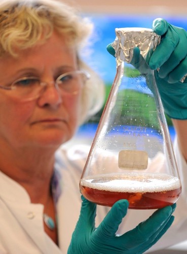 Una empleada de la Oficina estatal de protección del consumidor y seguridad alimentaria de Baja Sajonia examina una muestra de tomate en busca de posibles rastros de la bacteria Escherichia coli en Oldenburg (Alemania).