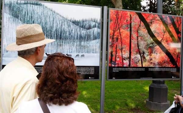 Dos personas que pasean por el parque del Buen Retiro de Madrid observan dos fotografías que forman parte de la exposición 