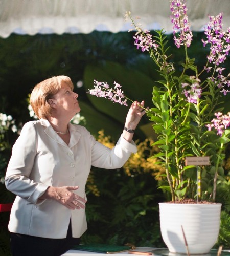 La canciller alemana Angela Merkel huele una orquídea llamada 