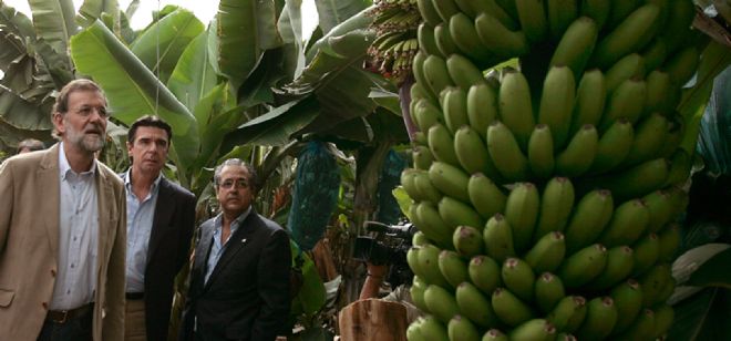El candidato del PP a la presidencia del Gobierno, Mariano Rajoy (i) , visitó hoy en la isla de Tenerife una finca de plátanos.
