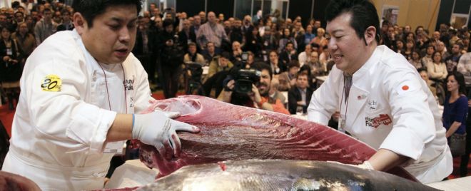 Dos especialistas proceden hoy al despiece (ronqueo) de un atún rojo de 120 kilos.