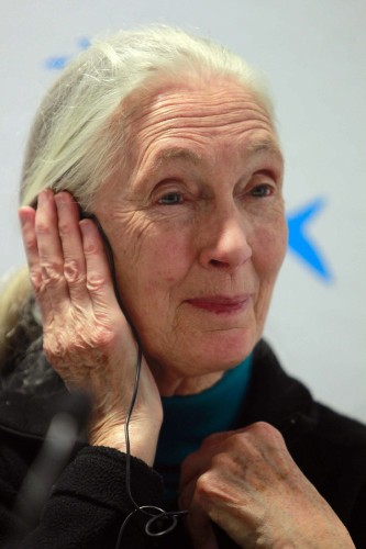 La primatóloga británica Jane Goodall, premio Príncipe de Asturias a la Investigación en 2003.