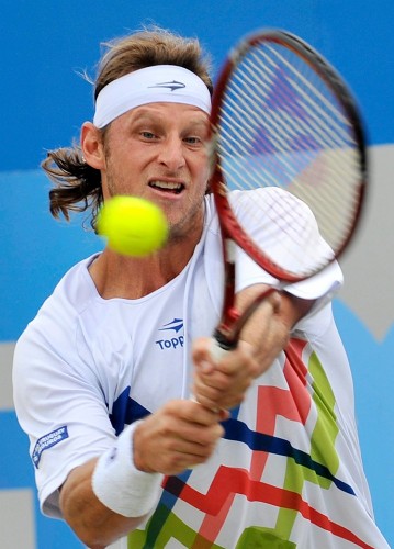 El tenista argentino David Nalbandian.