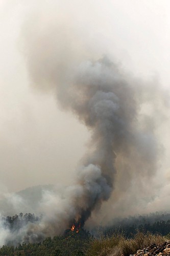 Imagen del incendio forestal en la zona de Guayonje en el municipio de Vilaflor, iniciado el domingo pasado, que afecta a varios municipios de la isla de Tenerife y ha dañado más de 1.800 hectáreas.