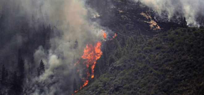 Llamas del incendio forestal que el domingo se inició en el municipio tinerfeño de Vilafor, queman el barranco del Tágara.