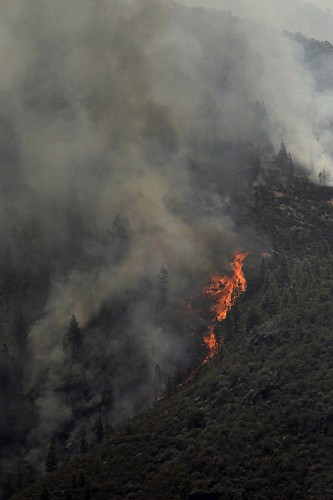 Llamas del incendio forestal que el domingo se inició en el municipio tinerfeño de Vilafor.