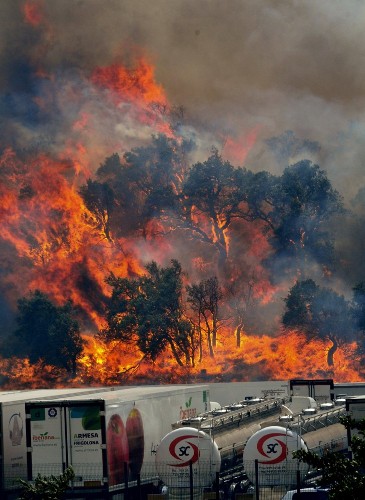Las llamas del incendio forestal.