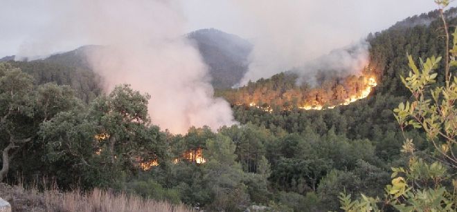 Dos de los ocho heridos en los incendios del Empordà que permanecían ingresados han sido dados de alta.