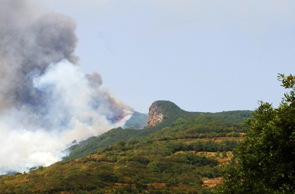 Las llamas del incendio originado ayer en la isla de La Palma, queman la zona de Roque Niquiomo.