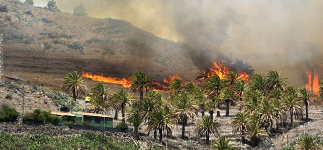Llamas del incendio declarado ayer en la Gomera, en el caserío de Vegaipala.