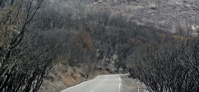 Terreno calcinado en Valle Gran Rey, a causa del incendio que afecta a La Gomera, que continúa hoy activo.