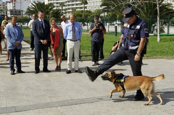 El alcalde de Las Palmas de Gran Canaria, Juan José Cardona (3d), observa una exhibición de los perros de la Policía Local durante la presentación de la campaña de concienciación y educación 