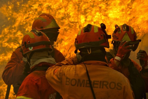 Unos bomberos tratan de extinguir un incendio forestal.