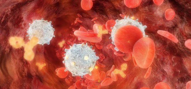 Los investigadores han descubierto cómo la célula madre de cáncer de próstata participa de forma activa en el proceso de resistencia a la quimioterapia y en la progresión tumoral.