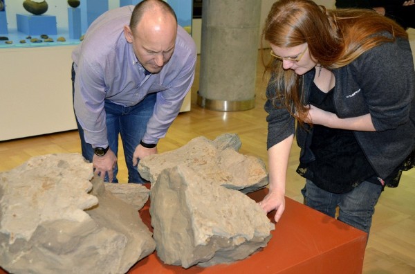 El paleobotánico inglés, Alan Channing (i), observa las rocas expuestas en el Museo Arqueológico Benahorita, en Los Llanos de Aridane (La Palma.)