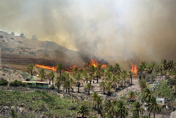 Llamas del incendio declarado en la Gomera.