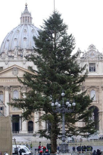 Una grúa coloca el árbol de Navidad en la plaza de San Pedro en el Vaticano hoy, jueves 6 de diciembre de 2012.