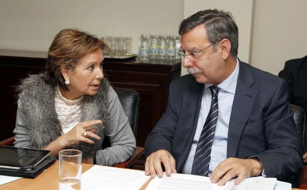 La consejera de Empleo, Industria y Comercio del Gobierno de Canarias, Francisca Luengo, se reunió hoy con el presidente de Red Eléctrica de España, José Folgado.