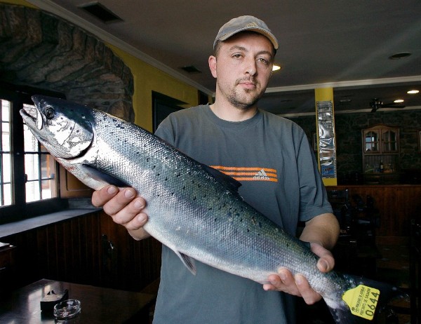 Un pescador posa con el el primer salmón pescado cada temporada en los ríos asturianos.