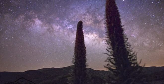 El investigador del Instituto de Astrofísica de Canarias (IAC) Javier Licandro cree que la luz percibida anoche en el cielo de Canarias fue un bólido, que es la fase que se produce cuando un meteroide bastante brillante y de varios centímetros entra en la atmósfera.