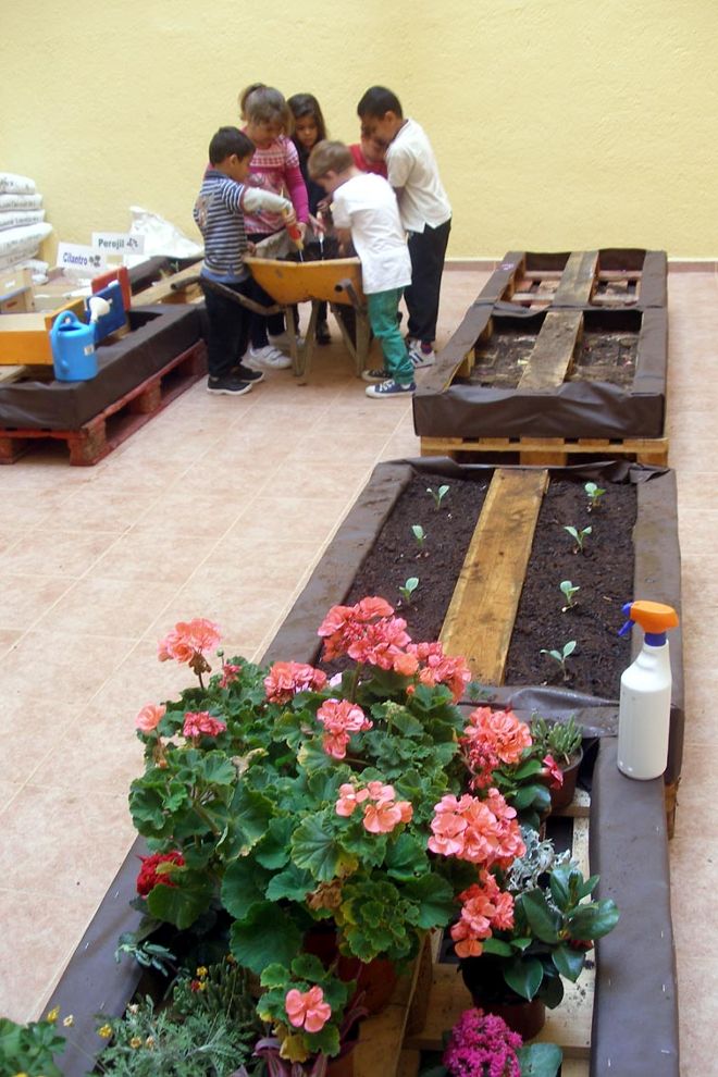 Escolares de San Juan de la Rambla elaboran un semillero.