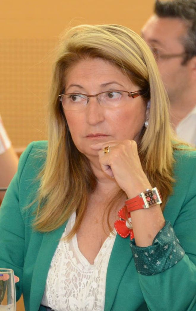La consejera insular de Medio Ambiente, Ana Lupe Mora (PSOE)