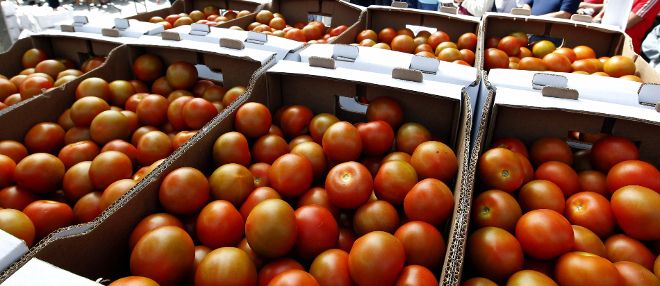Los productores de tomate de Canarias exigen que se les abonen el dinero que les adeudan desde 2010.