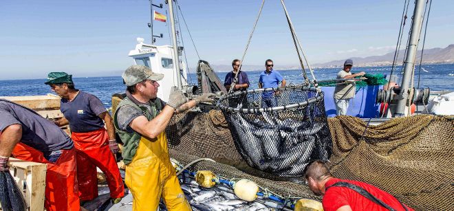El actual Protocolo no ofrece posibilidades de pesca acordes con la contribución financiera ofrecida por la UE y los armadores.