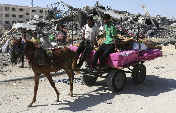 La familia palestina Abu Shamallah transporta sus pertenencias después de la destrucción de su casa en un bombardeo israelí sobre el campo de refugiados de Rafah, en el sur de la Franja de Gaza, hoy, miércoles 9 de julio de 2014. 
