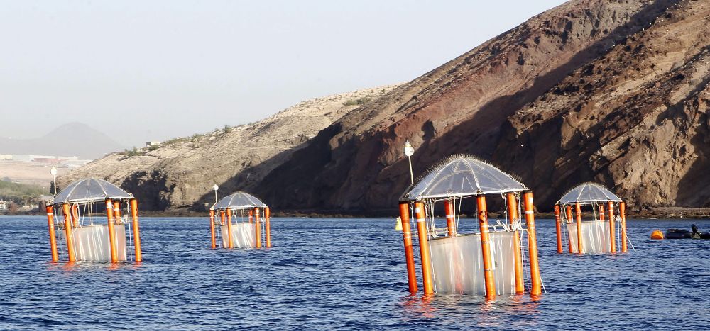 El Centro Helmholtz de Investigación Oceanográfica de Kiel (Alemania) ha retomado en la costa de Gran Canaria su ensayo Kosmos 2014.