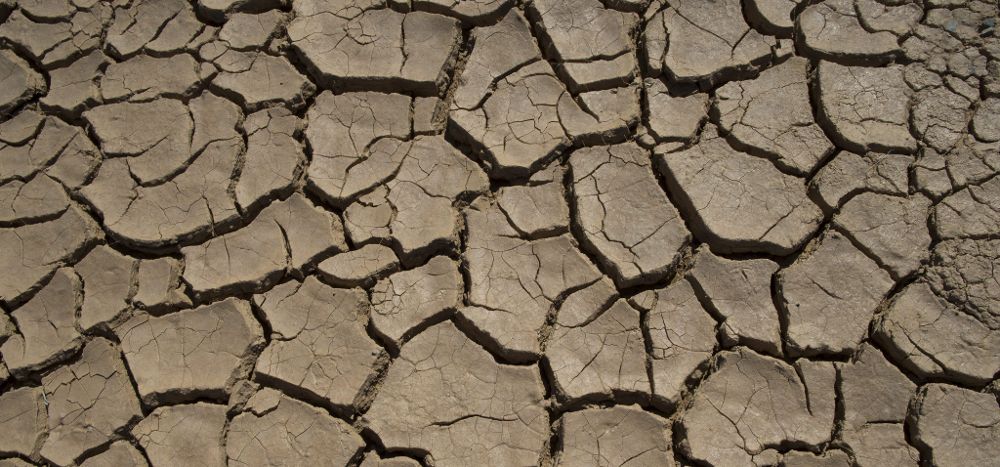 Fotografía de archivo fechada el 24 de septiembre de 2014 que muestra un terreno agrietado por la sequía en Hakskeenpan, Sudáfrica.