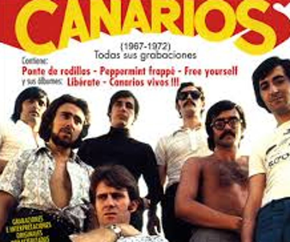 Disco de Los Canarios que contenía la canción que da título a la exposición.