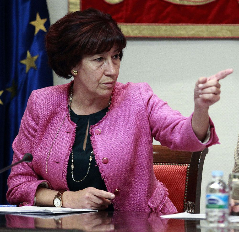 La consejera de Asuntos Sociales del Gobierno de Canarias, Inés Rojas.
