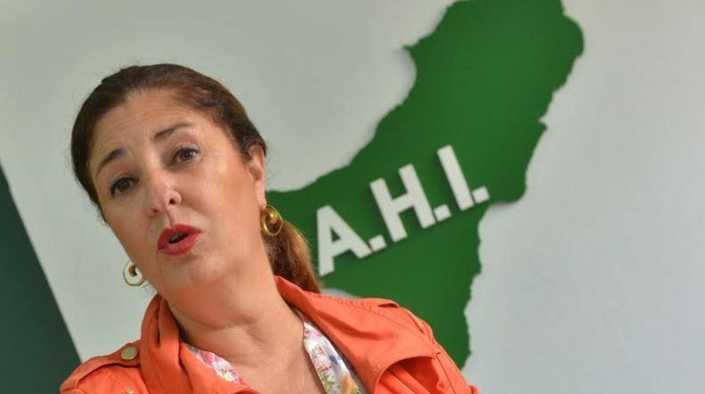 La presidenta del Cabildo de El Hierro, Belén Allende.