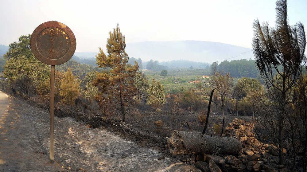 El incendio forestal de la Sierra de Gata cacereña llega a su tercer día sin control, avivado por el fuerte viento.