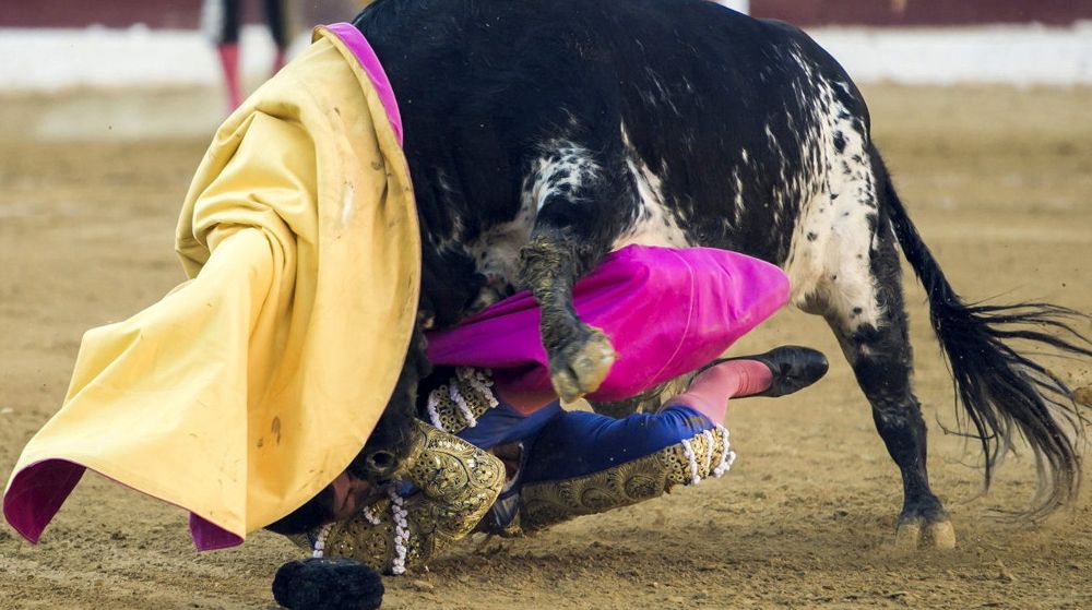 El matador de toros Francisco Rivera Ordóñez "Paquirri" sufre una cogida por el cuarto toro de la tarde durante la corrida de la Feria de San Lorenzo de Huesca.