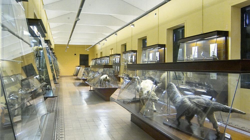 Los museos son una parte de la oferta extraescolar.