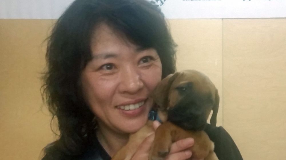 Comer carne de perro es habitual en Corea del Sur, pero algo está cambiando. 