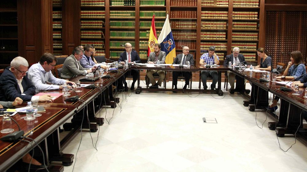 Un momento de la reunión de la comisión de Economía del Parlamento de Canarias.