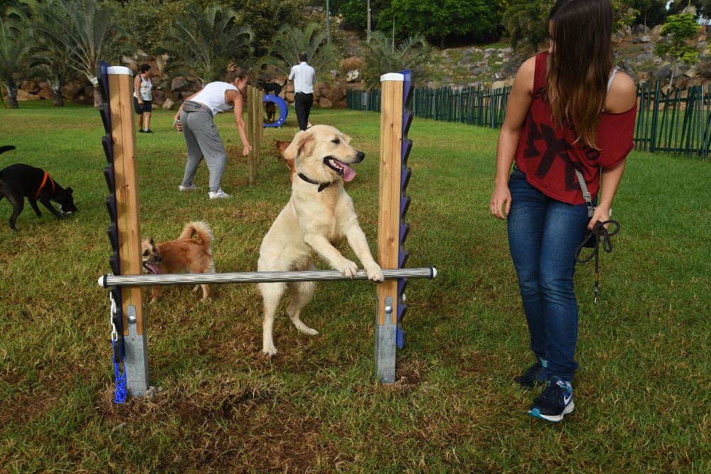 Un Parque Oficial Para Perros El Día Hemeroteca 03 10 2015